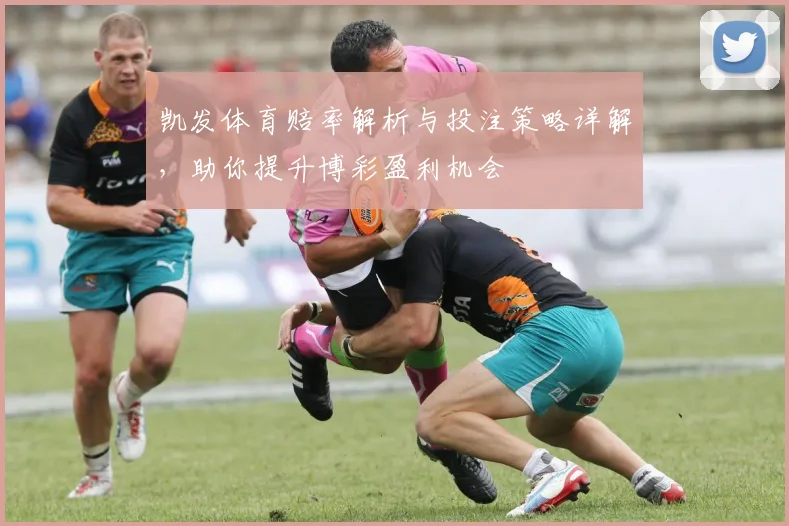 凯发体育赔率解析与投注策略详解，助你提升博彩盈利机会