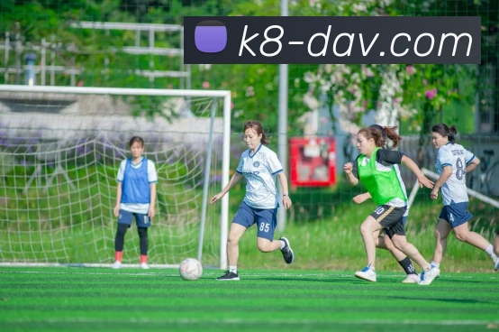 凯发娱乐平台展示图